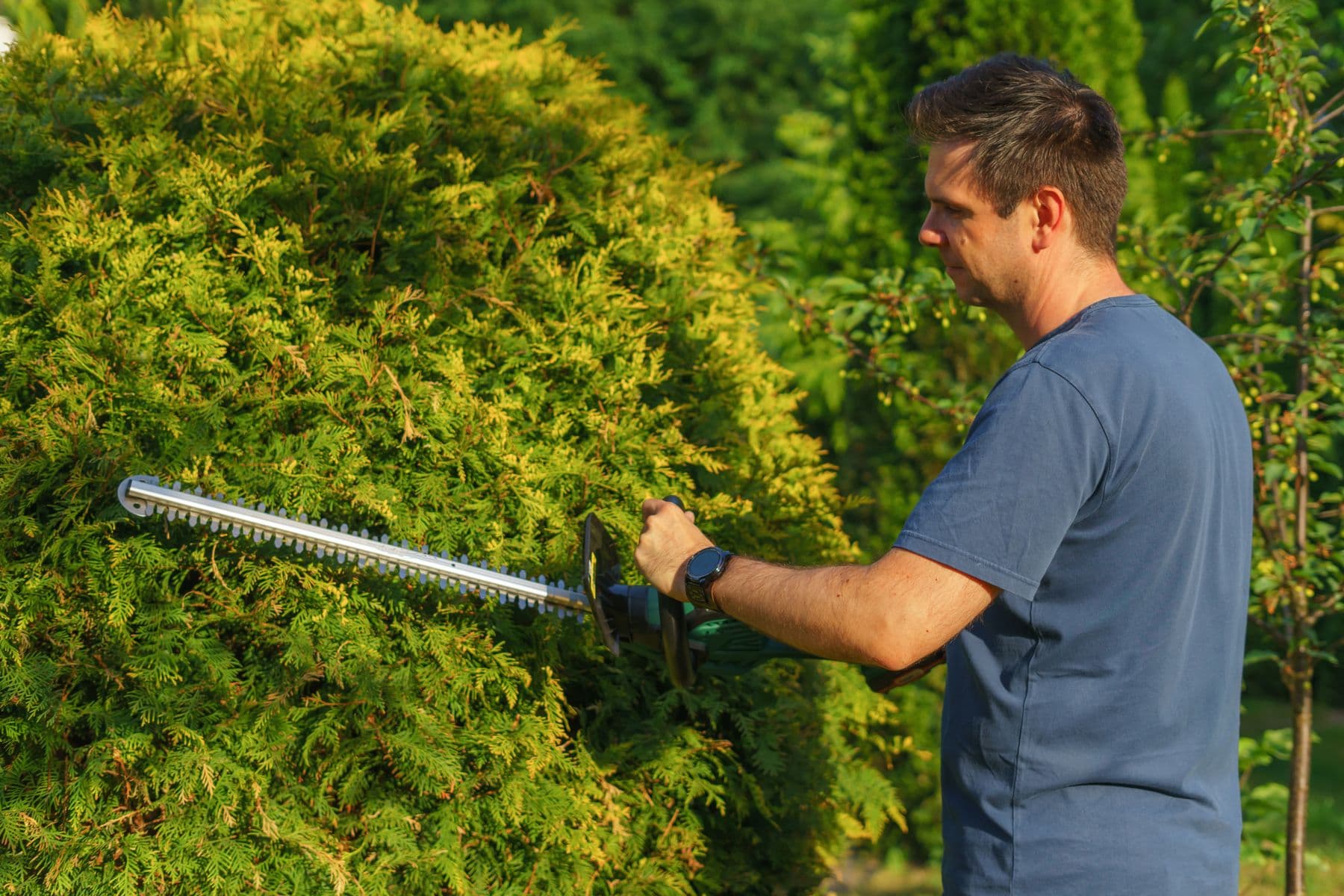Landscaper trimming a hedge with an electric trimmer